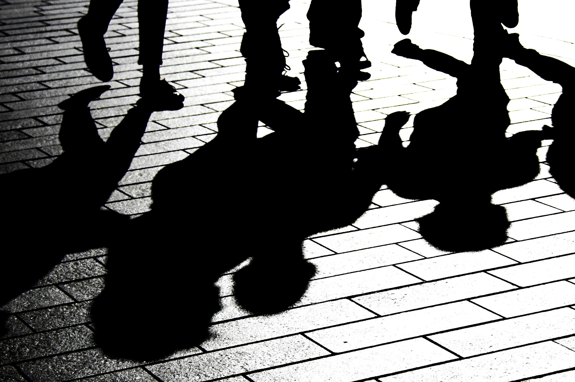 shadow of family