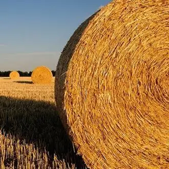 Producing super-strength straw building materials