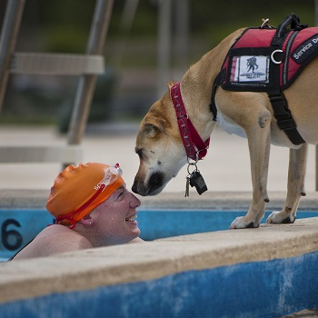 swimmer