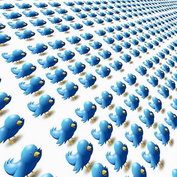 twitter box