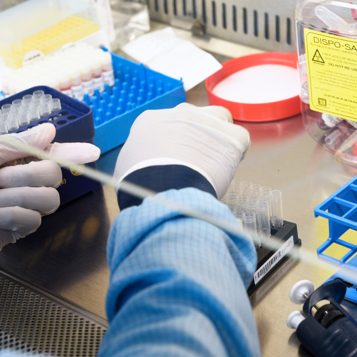 blood samples