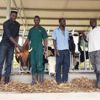 Business brains helping Uganda dairy farmers milk it