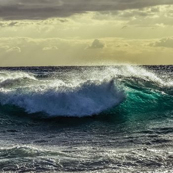 wave 