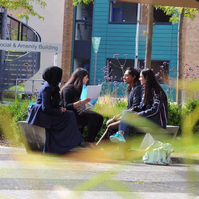 four students chatting on a bench