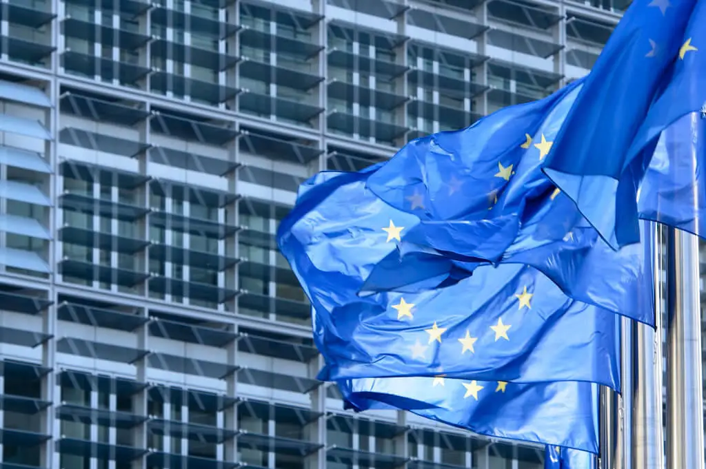 EU flags in Brussels(1)