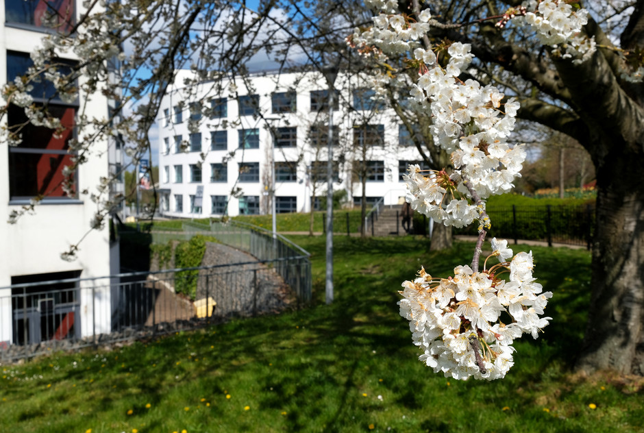 Campus Spring at the Mary Seacole Building