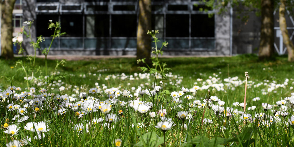 LGBTQ+ History Month 2023: Behind the Lens