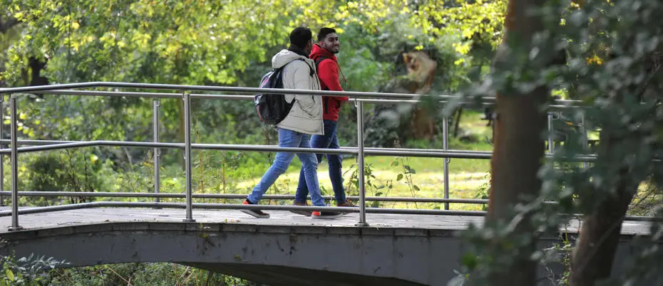 Students enjoying a walk
