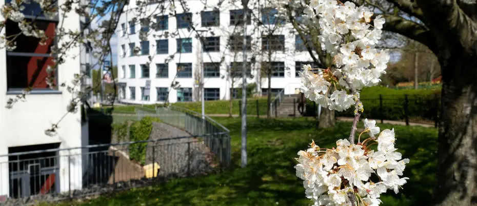 Spring on campus