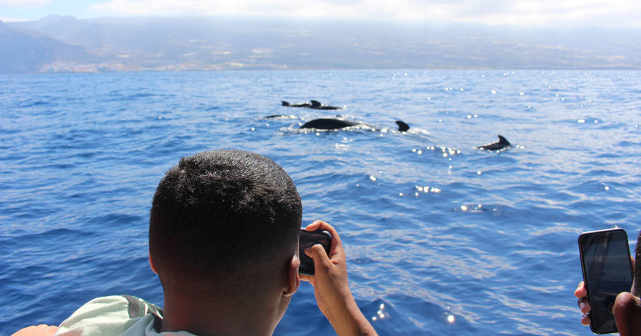 Brunel Environmental Sciences students on whale-watching in Tenerife