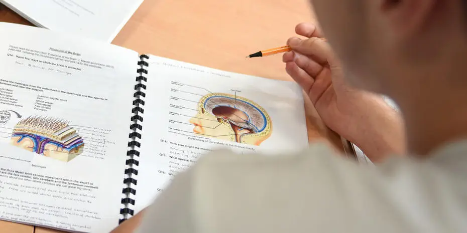student reading notebook