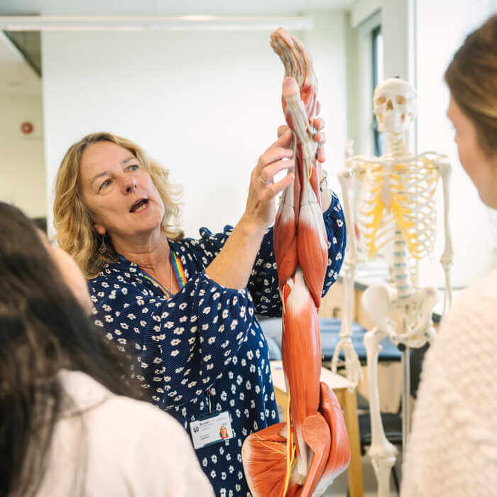 Reflections on Learning Anatomy using Human Plastinated Specimens