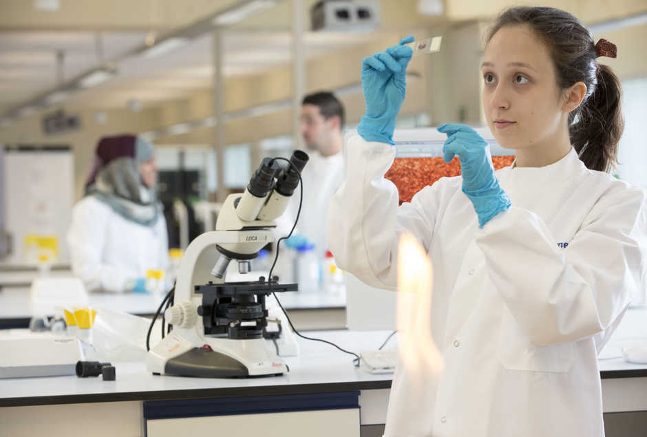 My Life As A Biomed Student