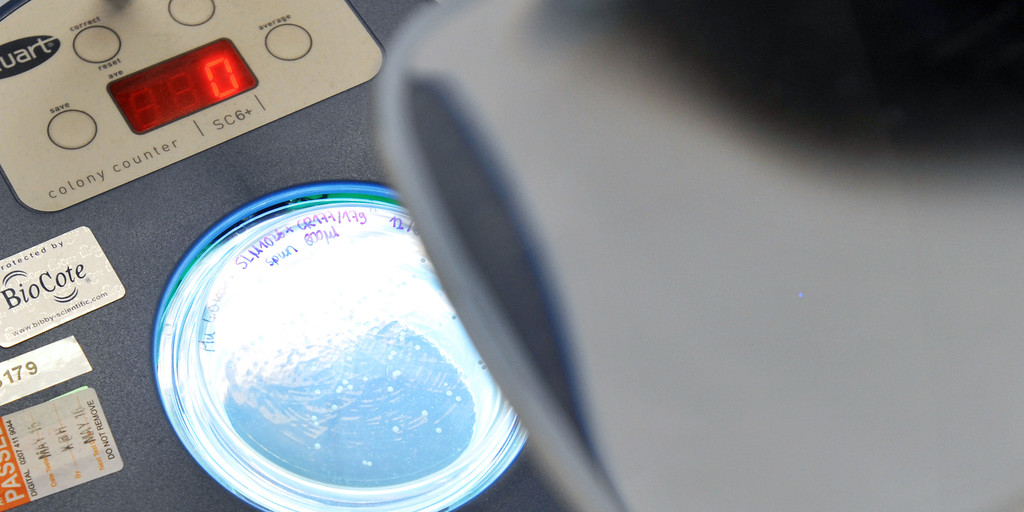 My journey from being an undergraduate student to doing a PhD