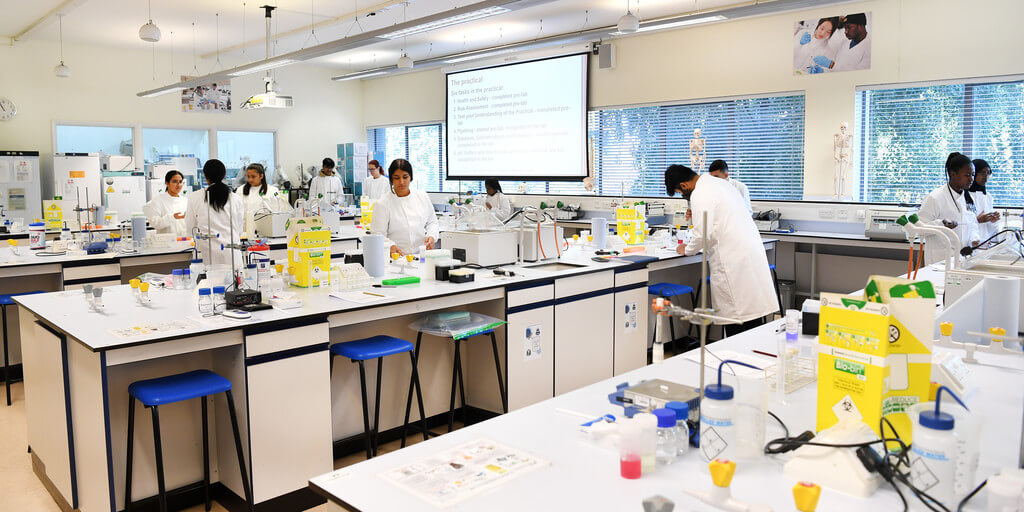 My 1st year as a Biomedical Sciences student