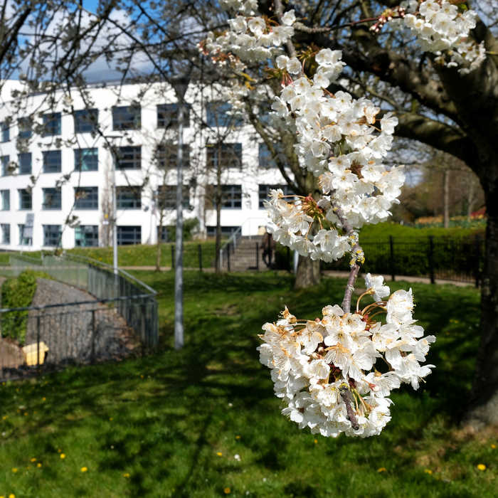 Stress awareness month