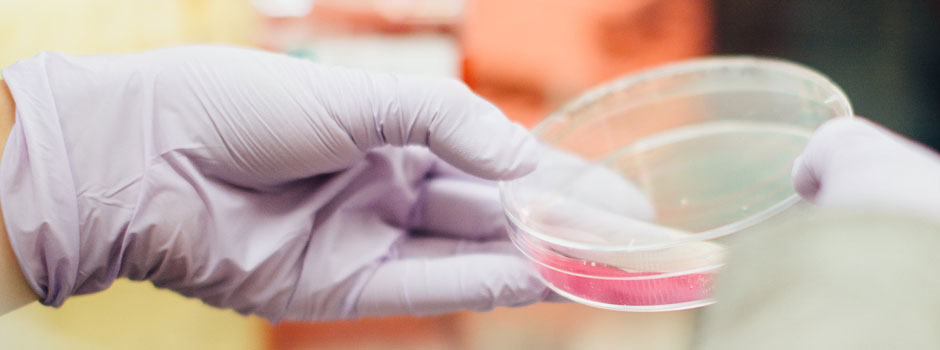 Clinical laboratory
