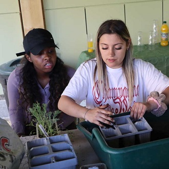 Why study Global Challenges at Brunel?