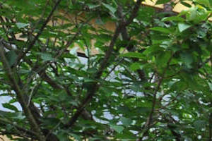 Top tips for university success