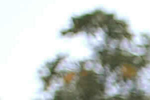 What to take to university