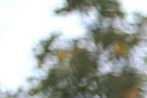 10 quick tips for moving In