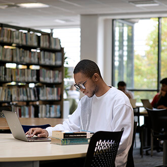 Students studying in the library