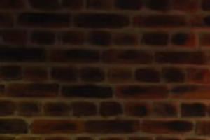 Brunel Basics: Healthy Plate