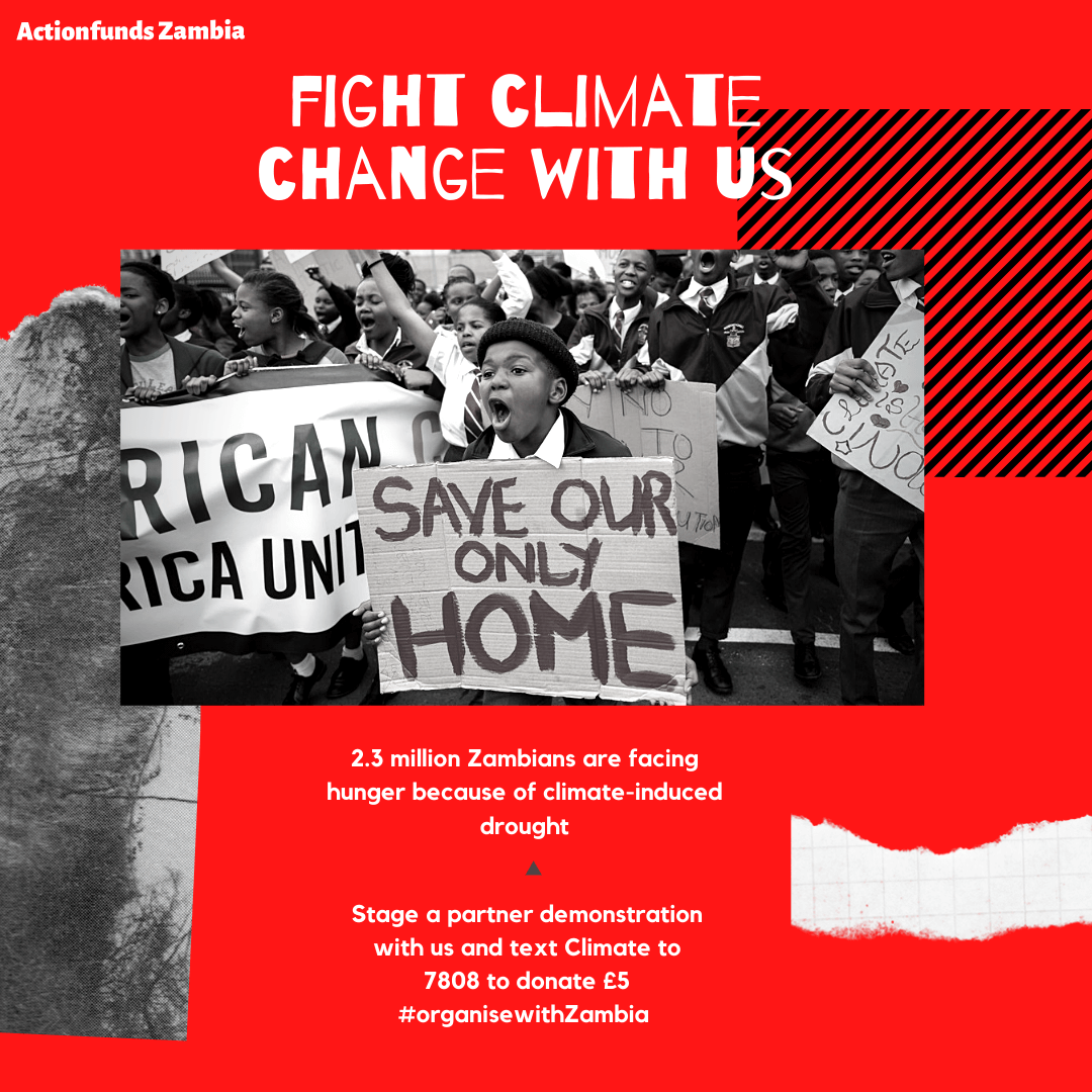 Child holding poster that says Save our only home Image