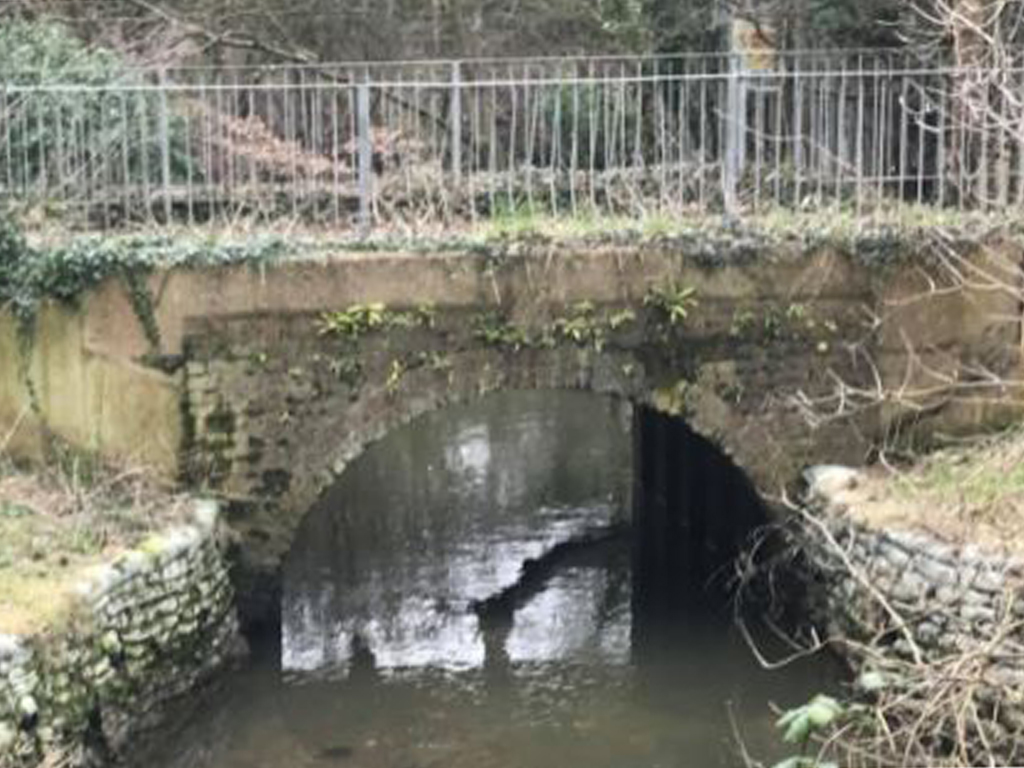 View of bridge over the River Pinn image