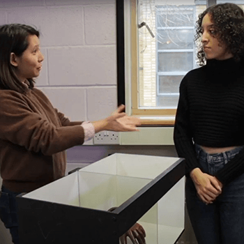 Phantom limb demonstration