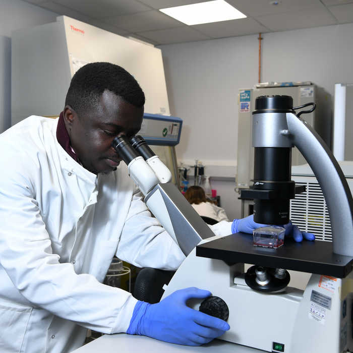 Male student in an environmental sciences lab looking through a microscope